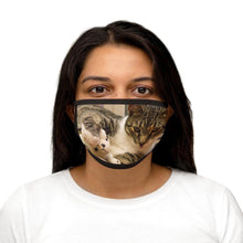 Load image into Gallery viewer, Face Mask Mixed-Fabric (Cat) - PikeirosCo