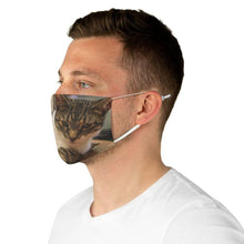 Load image into Gallery viewer, Face Mask Fabric (Cats) - Pikeiros Co.