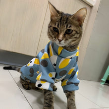 Load image into Gallery viewer, Sweet Cat Winter Sweater