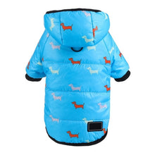 Load image into Gallery viewer, Autumn Winter Clothes