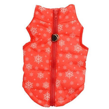 Load image into Gallery viewer, Autumn Winter Clothes - Pikeiros Co.