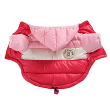 Load image into Gallery viewer, Autumn Winter Clothes - Pikeiros Co.