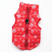 Load image into Gallery viewer, Warm Outfit - PikeirosCo