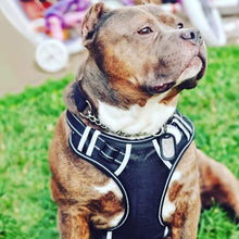 Load image into Gallery viewer, Adjustable Reflective Leash Harness - PikeirosCo