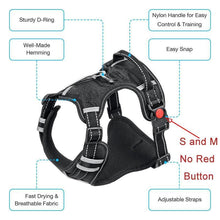 Load image into Gallery viewer, Adjustable Reflective Leash Harness - PikeirosCo