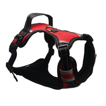 Load image into Gallery viewer, Adjustable Reflective Leash Harness - PikeirosCo