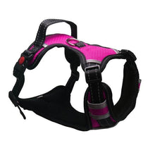 Load image into Gallery viewer, Adjustable Reflective Leash Harness - PikeirosCo