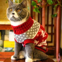 Load image into Gallery viewer, Cute Winter Sweater - Pikeiros Co.