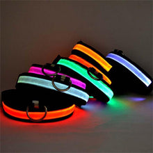 Load image into Gallery viewer, LED Collar - PikeirosCo