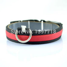 Load image into Gallery viewer, LED Collar - PikeirosCo