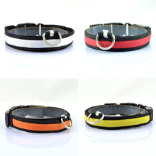 Load image into Gallery viewer, LED Collar - PikeirosCo
