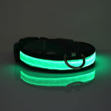 Load image into Gallery viewer, LED Collar - PikeirosCo