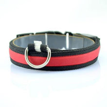 Load image into Gallery viewer, LED Collar - PikeirosCo