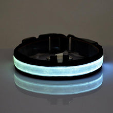 Load image into Gallery viewer, LED Collar - PikeirosCo