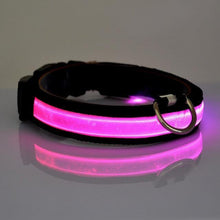 Load image into Gallery viewer, LED Collar - PikeirosCo