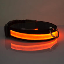 Load image into Gallery viewer, LED Collar - PikeirosCo