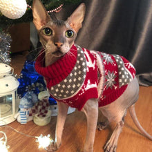 Load image into Gallery viewer, Cute Cat Pullover - Pikeiros Co.