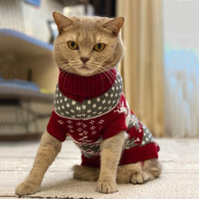 Load image into Gallery viewer, Cute Cat Pullover - Pikeiros Co.