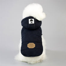 Load image into Gallery viewer, Cotton Winter Jacket