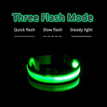 Load image into Gallery viewer, USB Charging Led Anti-Lost Collar - PikeirosCo