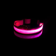 Load image into Gallery viewer, USB Charging Led Anti-Lost Collar - PikeirosCo