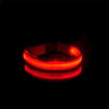 Load image into Gallery viewer, USB Charging Led Anti-Lost Collar - PikeirosCo