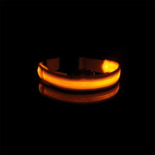 Load image into Gallery viewer, USB Charging Led Anti-Lost Collar - PikeirosCo