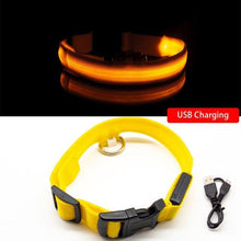 Load image into Gallery viewer, USB Charging Led Anti-Lost Collar - PikeirosCo