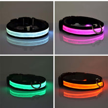 Load image into Gallery viewer, LED Collar - PikeirosCo