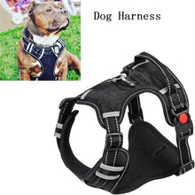 Load image into Gallery viewer, Adjustable Reflective Leash Harness - PikeirosCo