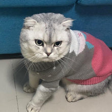Load image into Gallery viewer, Cute Cat Pullover - PikeirosCo