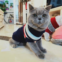 Load image into Gallery viewer, Cute Cat Pullover - PikeirosCo