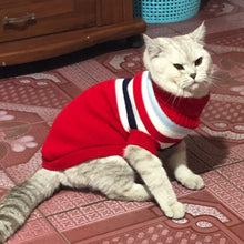 Load image into Gallery viewer, Cute Cat Pullover - PikeirosCo
