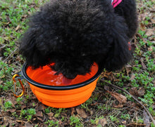 Load image into Gallery viewer, Folding Silicone Bowl - PikeirosCo