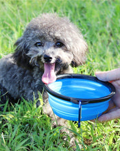 Load image into Gallery viewer, Folding Silicone Bowl - PikeirosCo