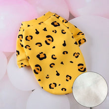 Load image into Gallery viewer, Sweet Cat Winter Sweater