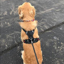 Load image into Gallery viewer, Adjustable Reflective Leash Harness - PikeirosCo