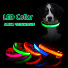 Load image into Gallery viewer, USB Charging Led Anti-Lost Collar - PikeirosCo
