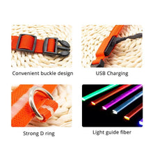 Load image into Gallery viewer, USB Charging Led Anti-Lost Collar - PikeirosCo
