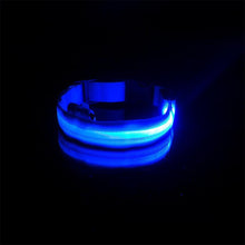 Load image into Gallery viewer, USB Charging Led Anti-Lost Collar - PikeirosCo
