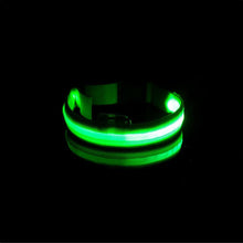 Load image into Gallery viewer, USB Charging Led Anti-Lost Collar - PikeirosCo
