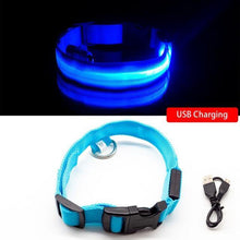 Load image into Gallery viewer, USB Charging Led Anti-Lost Collar - PikeirosCo
