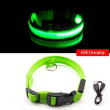 Load image into Gallery viewer, USB Charging Led Anti-Lost Collar - PikeirosCo
