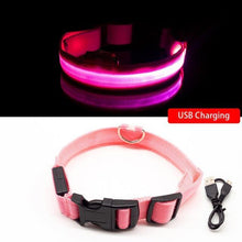 Load image into Gallery viewer, USB Charging Led Anti-Lost Collar - PikeirosCo
