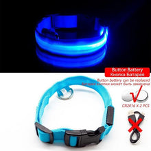 Load image into Gallery viewer, USB Charging Led Anti-Lost Collar - PikeirosCo
