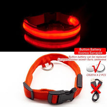 Load image into Gallery viewer, USB Charging Led Anti-Lost Collar - PikeirosCo
