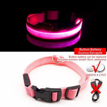 Load image into Gallery viewer, USB Charging Led Anti-Lost Collar - PikeirosCo
