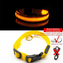 Load image into Gallery viewer, USB Charging Led Anti-Lost Collar - PikeirosCo
